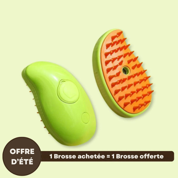 Brosse à vapeur rafraîchissante pour le pelage -  SNOPY™