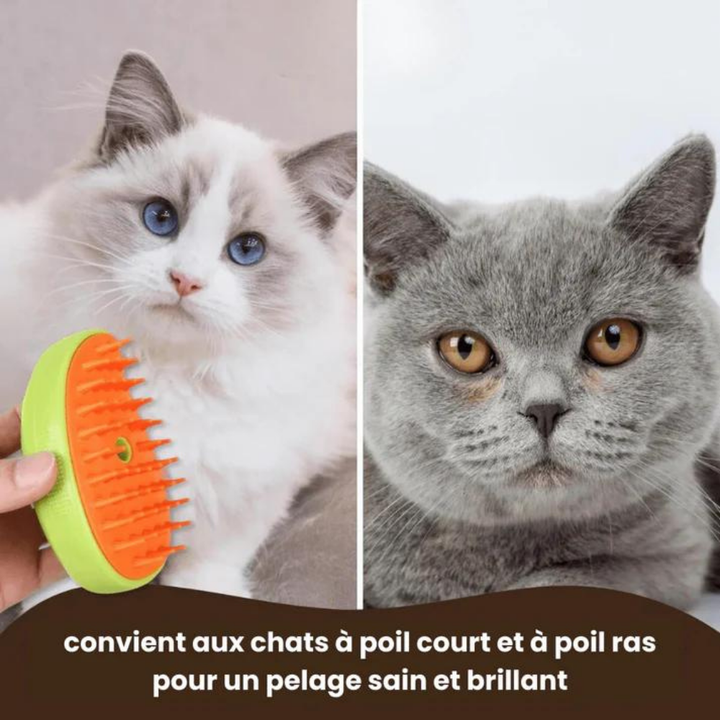 Brosse à vapeur rafraîchissante pour le pelage -  SNOPY™