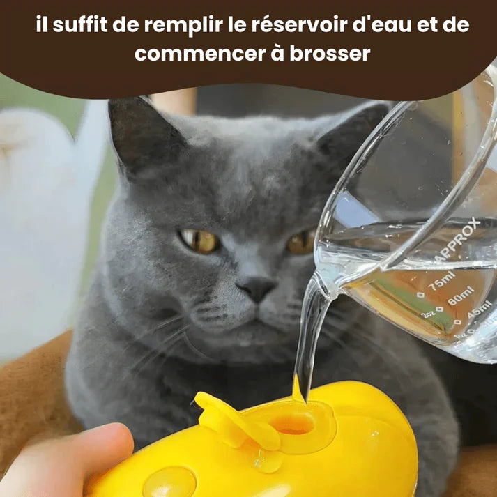 Brosse à vapeur rafraîchissante pour le pelage -  SNOPY™